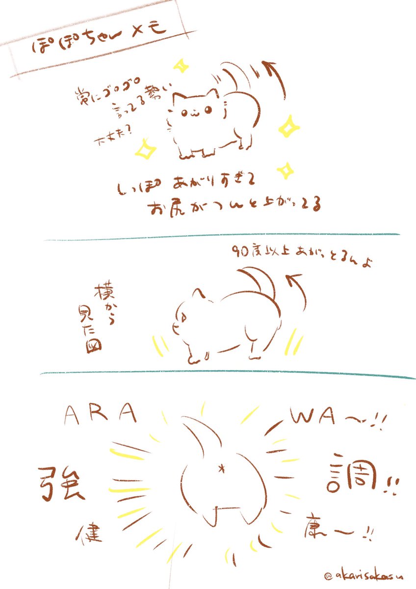 ぽぽちゃんメモ

#猫との生活 