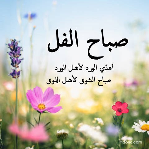 AlaeSoso's tweet photo. #صباح_الخيرات
اللهم بارك لنا في يومنا هذا،
وٱعف عنا وٱغفر لنا وٱرحمنا,
ويسر لنا أمورنا وفرج عنا همومنا، https://t.co/kK7lDuzyZV