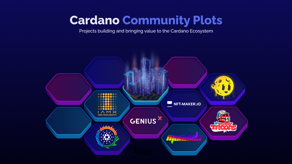 SmartPlacesX's tweet photo. CARDANO COMMUNITY PLOTS
Climate Neutral Cardano is a group of SPOs that runs on 100% renewable energy.
CNC has just announced the Ala project, a regenerative agriculture and reforestation project in Madagascar.
More at https://t.co/d9erDgZgFr!
#Cardano #CNFT #CardanoCommunity https://t.co/rWd6eWw3ES