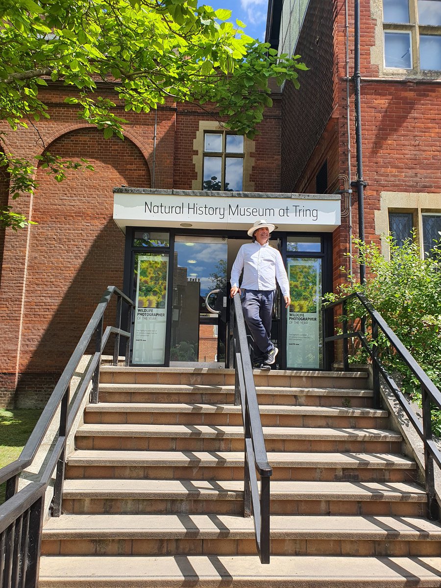 tringefestival's tweet photo. Mark Steel visited us yesterday to start the planning for the Tring episode of Mark Steel's in Town. Massive thanks to Simon Roberts at the NHM for the impromptu guided tour in the morning. https://t.co/RvkFp7fCBx