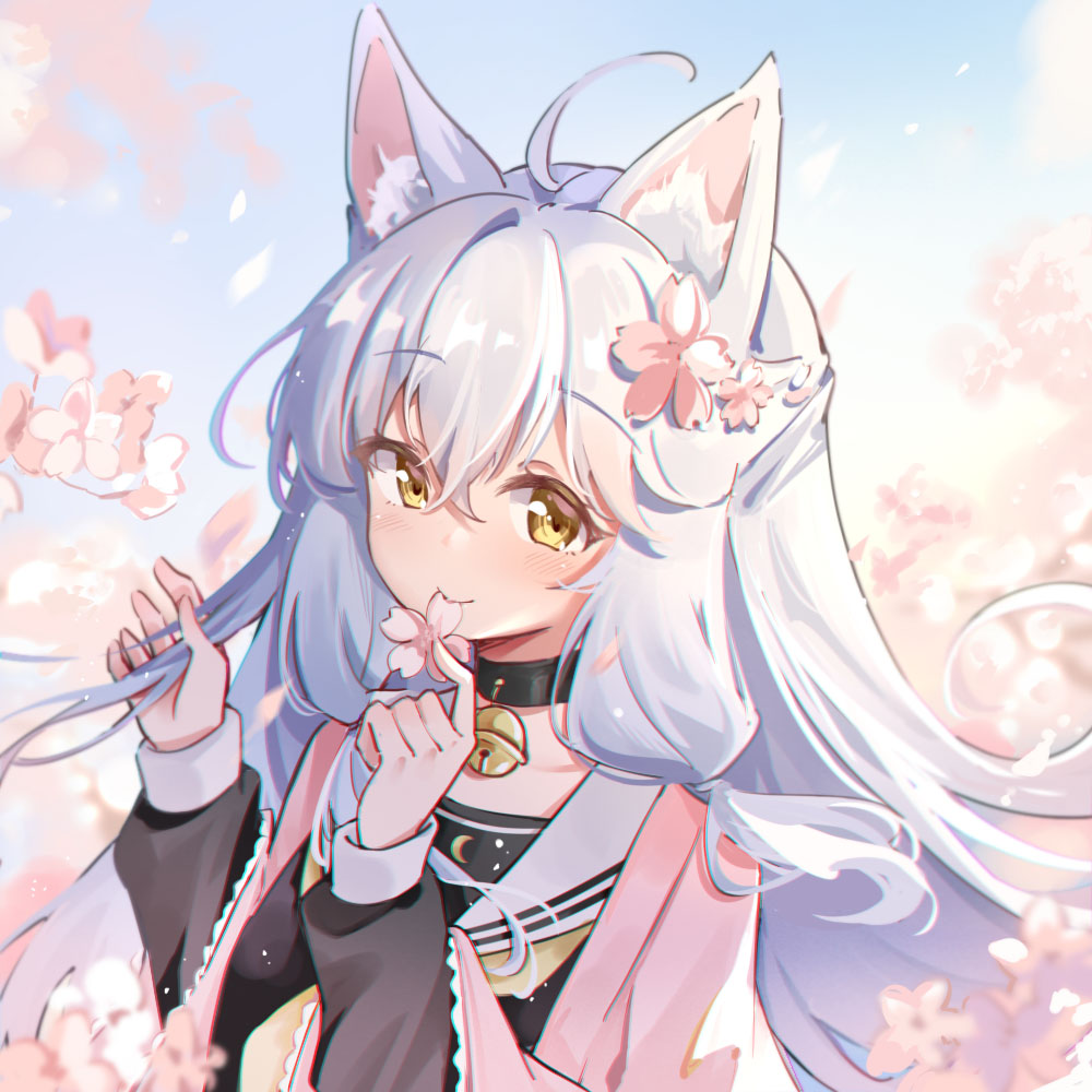 LoliconDango's tweet photo. 🌸🌸🌸 https://t.co/NJBkNdl6Td
