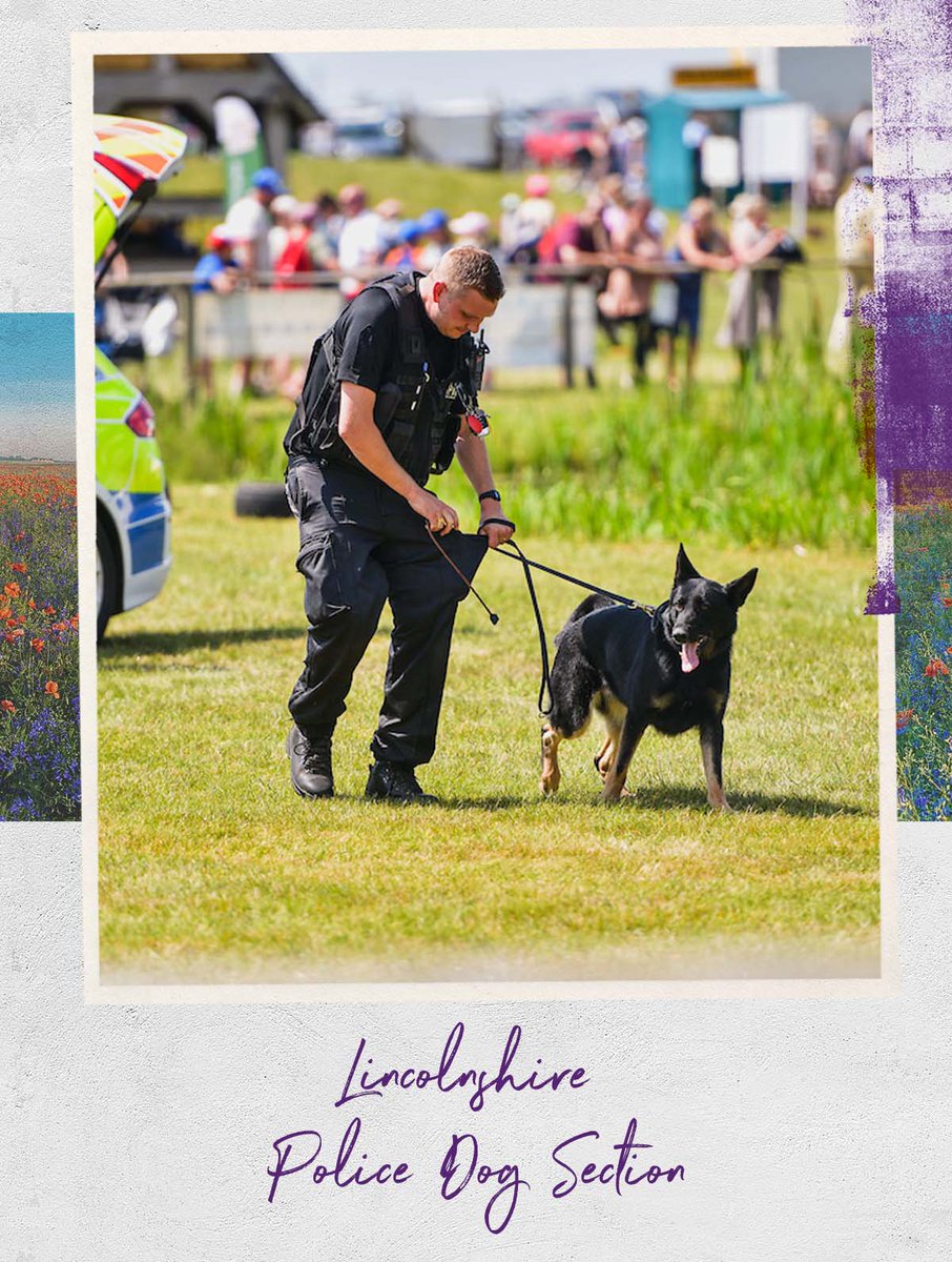 See the local 'Paw Enforcement' and talented @LincsPoliceK999 in action at the Listers Toyota Countryside Ring. Catch them at 10.30am and 2.00pm! Purchase tickets at the gate. #LincsShow22 #lincsshow #visitlincoln #makingmemories #lincspolice #wearelincolnshirepolice #workingdogs