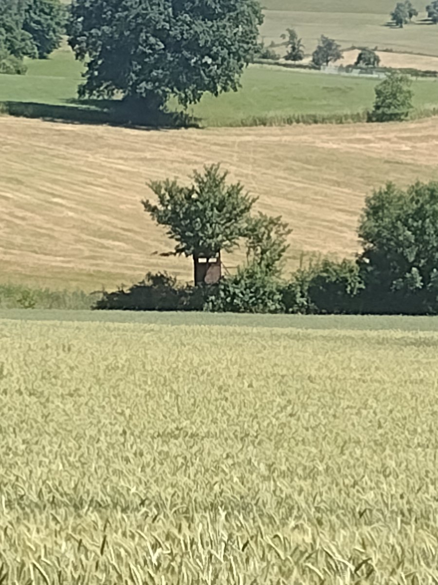 Ich meine ... ihr seht das doch auch, oder?

Foto: Michaela Schaefers
!B
