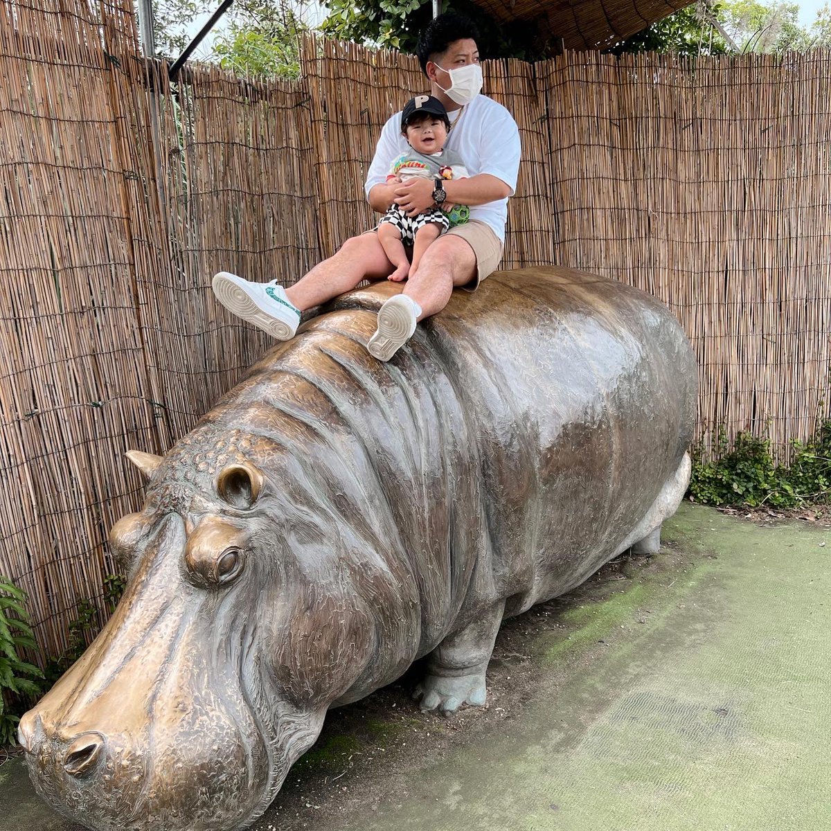 kashibamin's tweet photo. animal Park🌼🌈 https://t.co/hxrvU2io9F