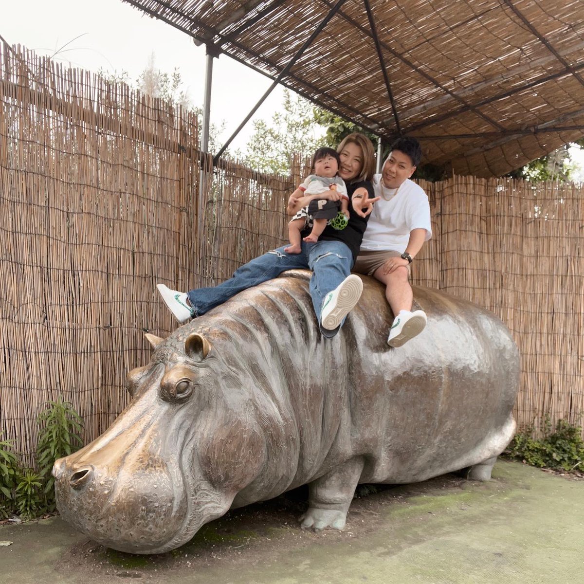 kashibamin's tweet photo. animal Park🌼🌈 https://t.co/hxrvU2io9F