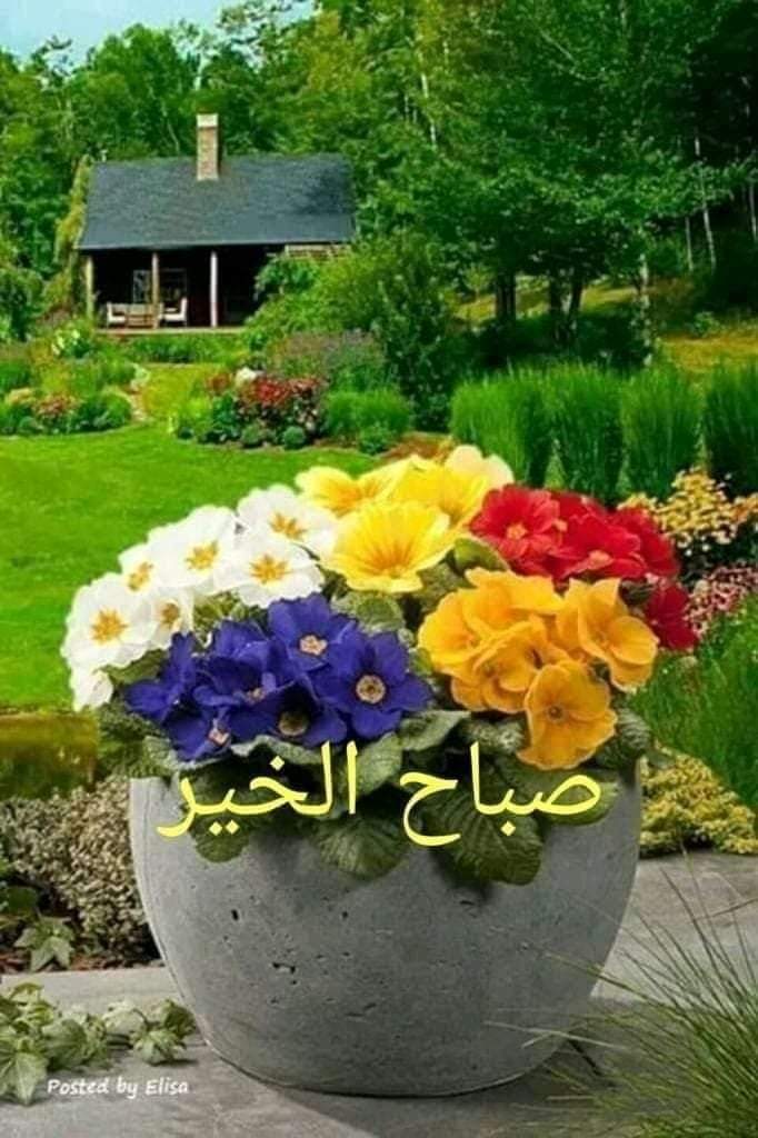 أبو سعيد (@abwsydbn1) on Twitter photo 