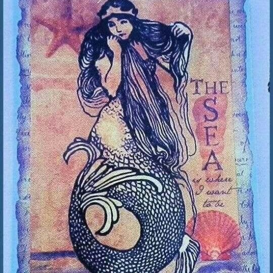 lugvreuss's tweet image. El canto de sirena; hilo informativo: