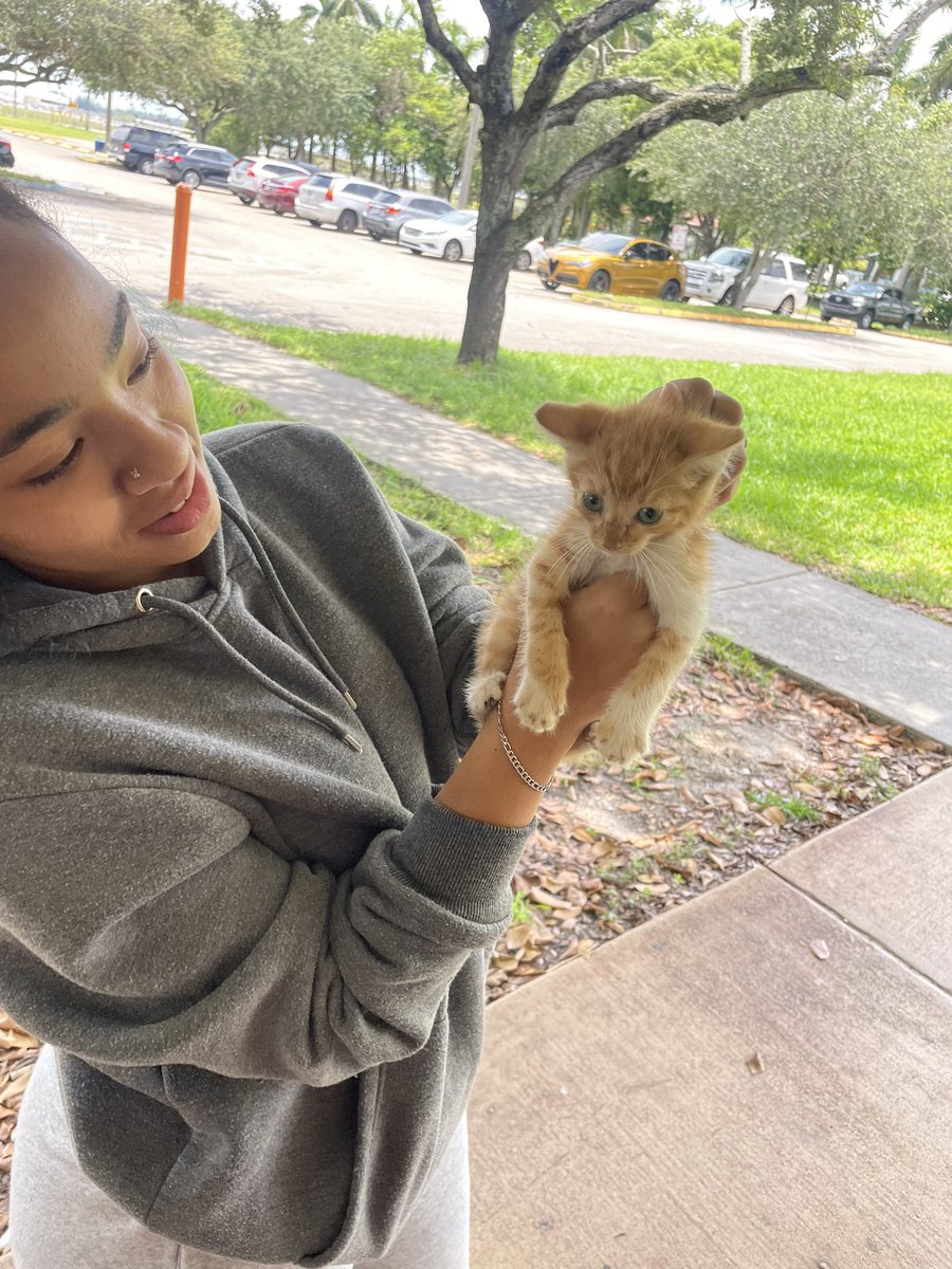 mightymiah0's tweet photo. Cheeto🧡 https://t.co/gfTawLYVWD