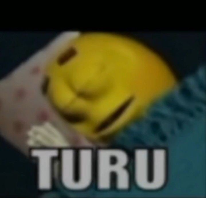 𝐙. tweet media