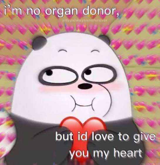 Expy | Monetize your Bio!🤑 tweet media