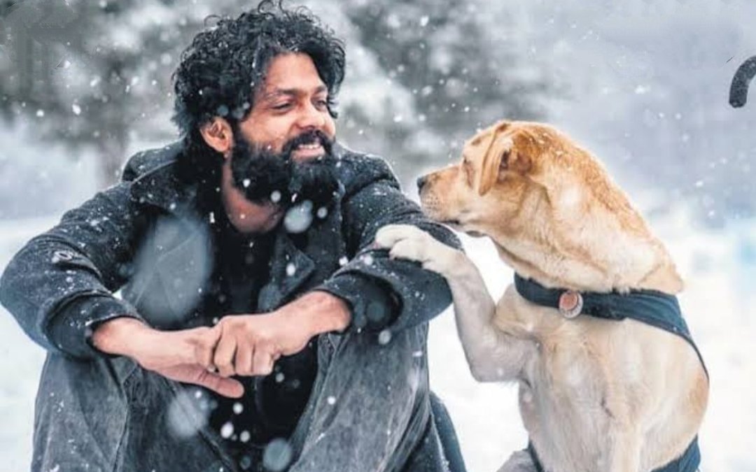 abhibrigade's tweet photo. #charlie777 what a movie !!!!!
Tears at the edge of the eyes. The agony what dharma felt, made us feel the same watching it❤️😭.
@DanishSait anna cameo was as pleasant as him.
@rakshitshetty
Sir🔥🔥.
#charlie777 #777charliereview #rakshithshetty #kannadamovielovers
#danishsait https://t.co/bbrfAPUraQ