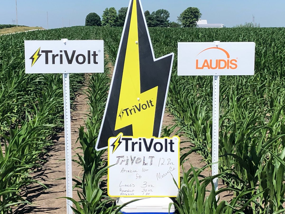 Illinois CP FSR Scott Good in Macon Co standing amongst the perfect combo of ⚡️#TriVolt⚡️ followed up with #Laudis! Broad spectrum and control from these two outstanding products! #Cleanfields #Bayer4IL