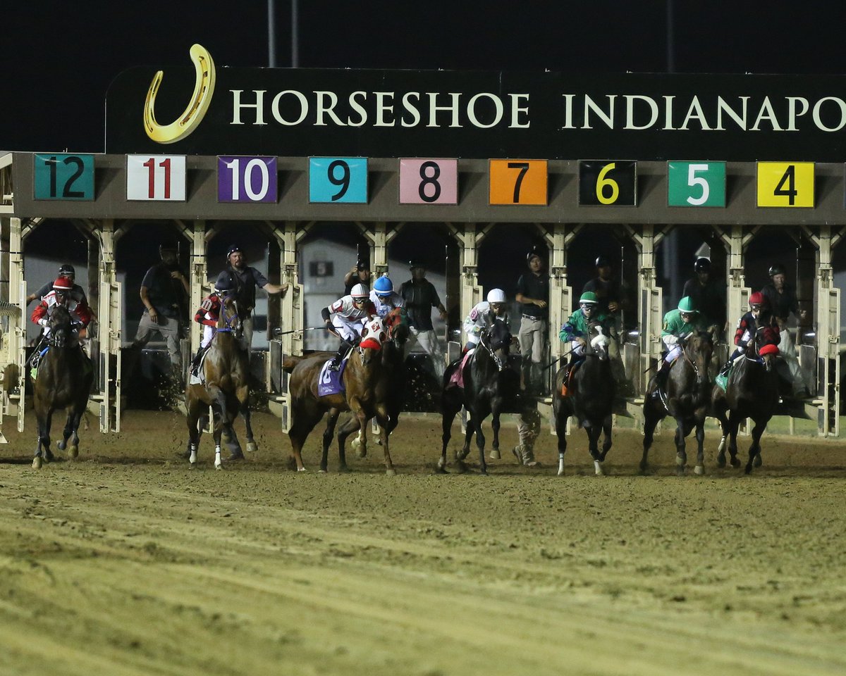 Mowins returns to stakes winning ways <a href="/HSIndyRacing/">Horseshoe Indianapolis Race Course</a>  Wed. June 22: tammyknox.wixsite.com/mysite/post/mo… Photos by @CoadyPhoto   <a href="/IndianaTOBA/">ITOBA</a> <a href="/JohnGDooley/">John G. Dooley</a> <a href="/RacingRachelM/">Rachel McLaughlin</a> <a href="/INThoroughbred/">Indiana Thoroughbred Development Program</a> <a href="/IndyTBAlliance/">IndianaThoroughbredAlliance</a> <a href="/IndianaHBPA/">Indiana HBPA</a> <a href="/MrBAnalyst/">Brian Arrigoni</a>