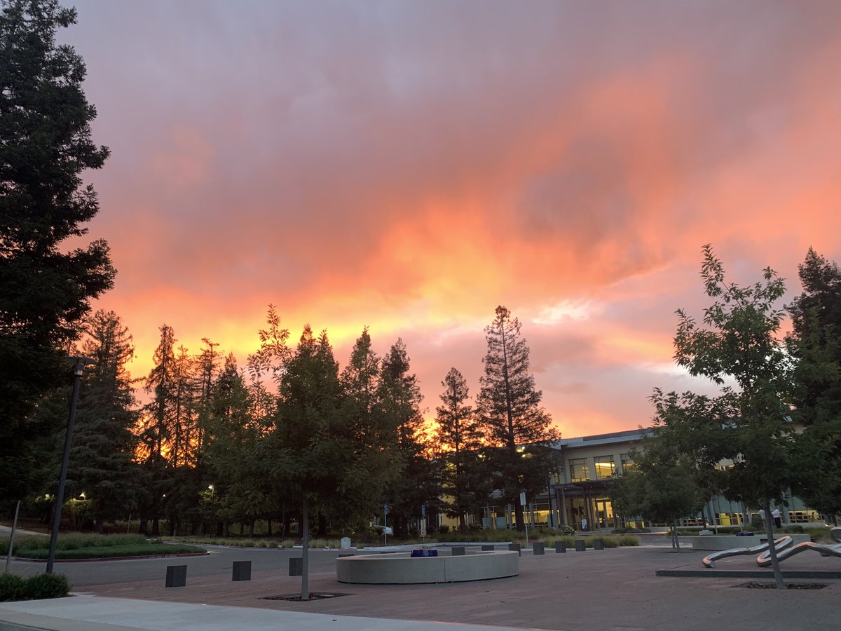 Ray O 'Farrell tweet media