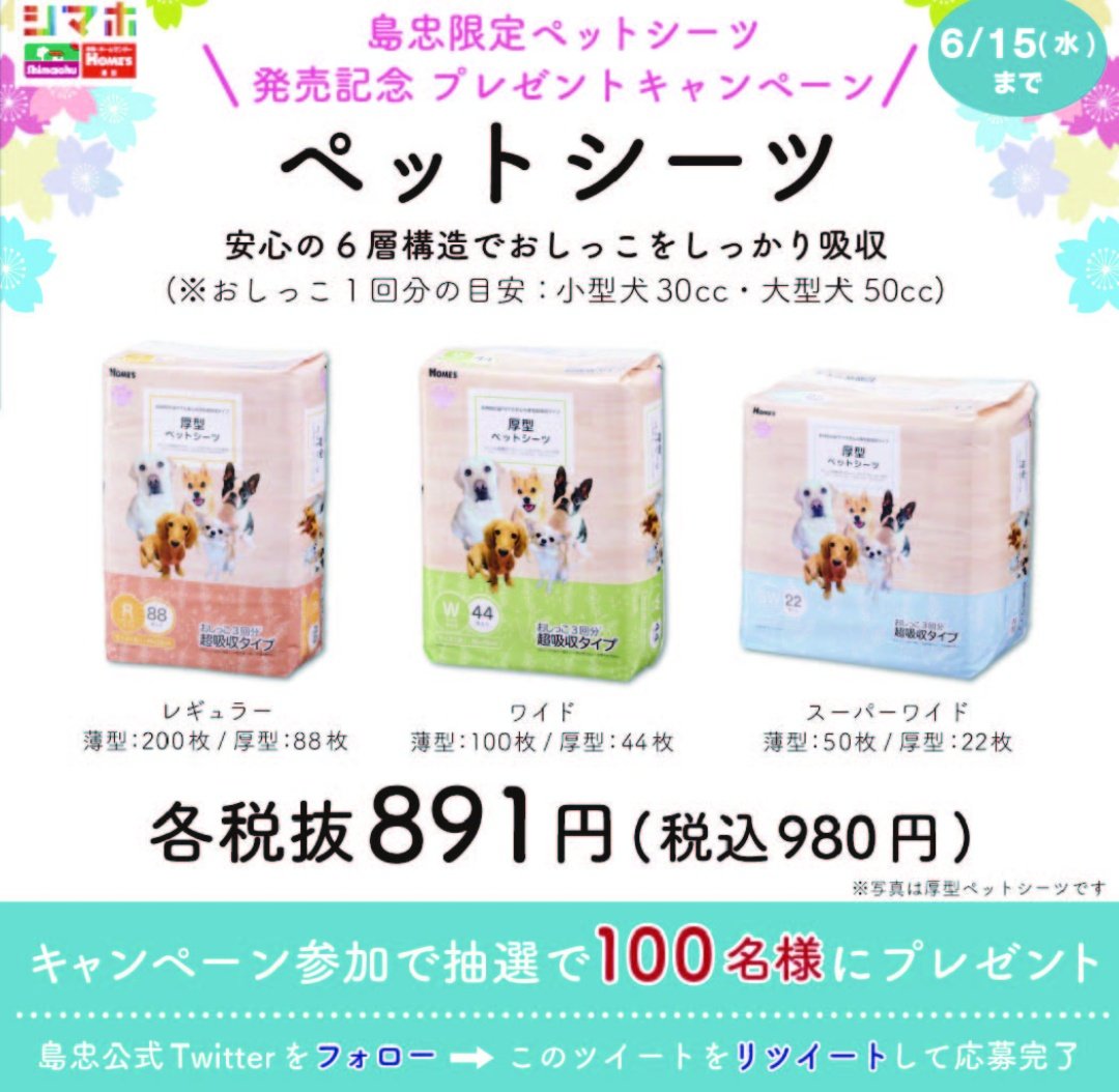 306円 特価商品 ペットシーツ レギュラー 厚型 100枚入 オリジナル
