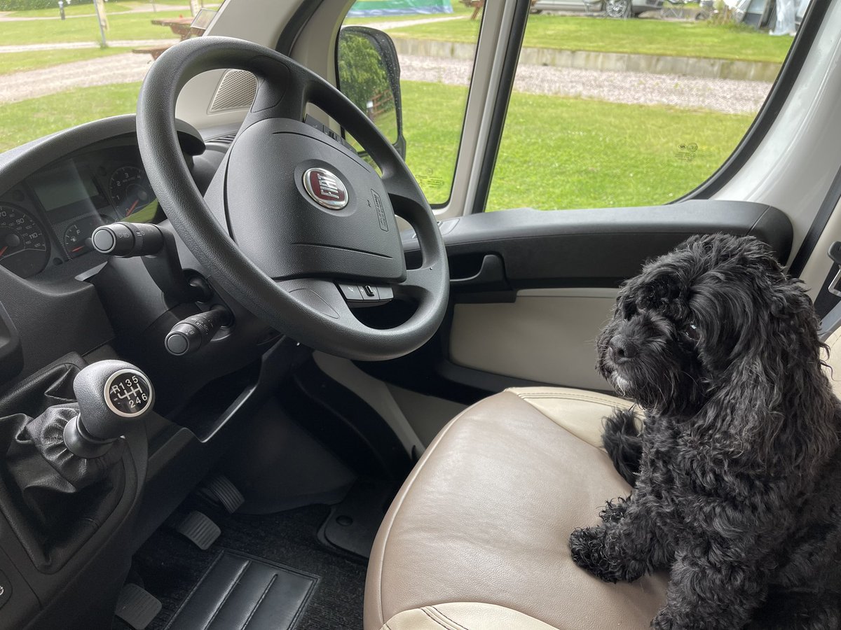 Her favourite seat 😂, not sure if it’s because she wants control or because she wants to go home? 🤣 <a href="/cavapooclub/">The Cavapoo Club GB</a> <a href="/mabelthecavapoo/">👑🦴🐾Mabel the Cavapoo🐾🦴👑</a> <a href="/MarvinCavapoo/">Marvin</a> <a href="/CavapooMitzee/">MitzeeCavapoo</a>  <a href="/PumpkinCavapoo/">Pumpkin the Cavapoo</a> @BettyCavapoo <a href="/Jackson_Cavapoo/">Jackson The Cavapoo</a> #motorhome #uktravel <a href="/peakdistrict/">Peak District National Park</a> #PeakDistrict2022 #holidays