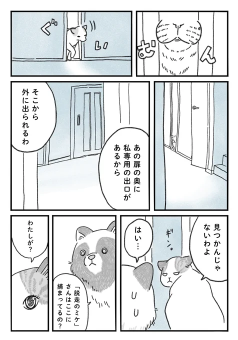 <たぬきのタマ>⓭
都会に生きるたぬきの兄弟の"タマ"のお話🦝

続きは明日、21時です🌃 