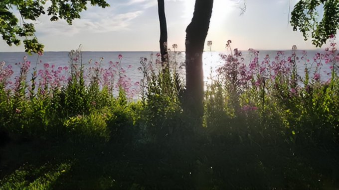 Beautiful in WI https://t.co/fvKVGjDFV9<a href="/tag/sexy"class="tags"><span>#sexy</span></a><a href="/tag/milf"class="tags"><span>#milf</span></a><a href="/tag/perfectass"class="tags"><span>#perfectass</span></a><a href="/tag/doggystle"class="tags"><span>#doggystle</span></a><a href="/tag/sarinaluv"class="tags"><span>#sarinaluv</span></a>