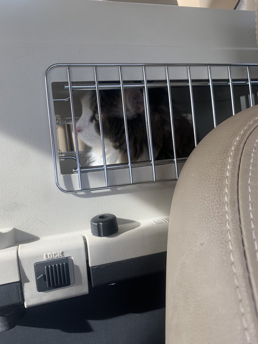 We’ve bloody done it Trevor