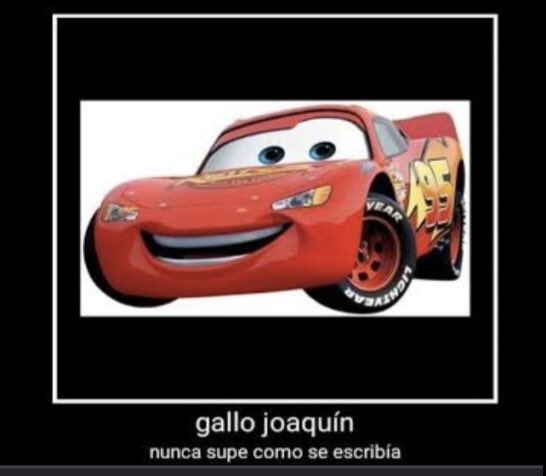 luiselguapoy tweet picture