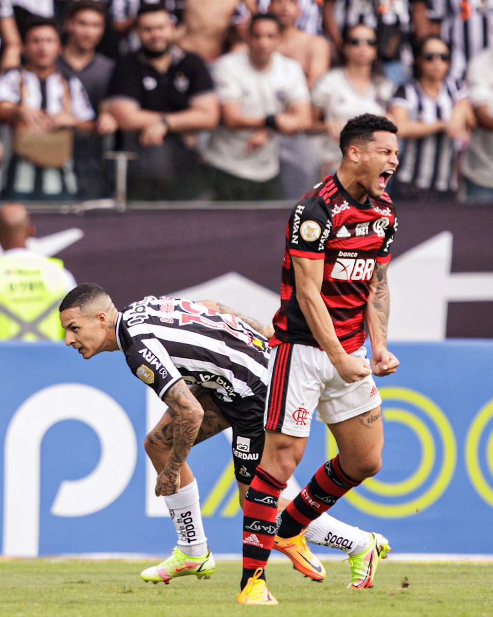 João Gomes tweet media