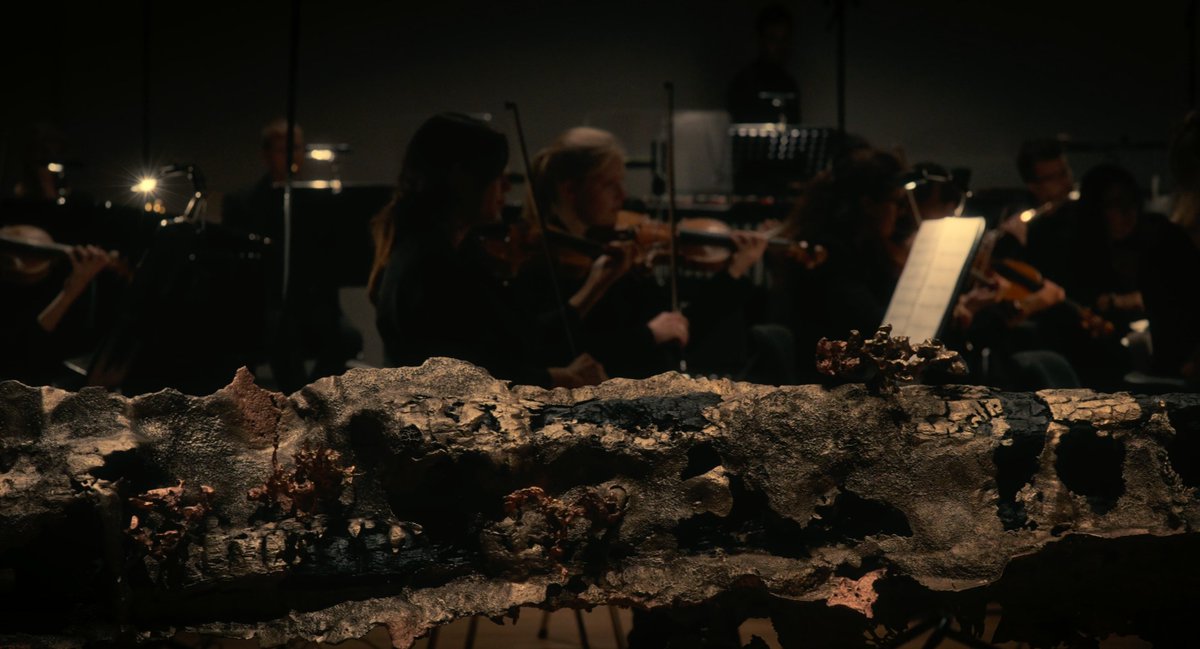 p_cunning's tweet photo. Here's a rare opportunity to stream #MatthewBarney's latest film with his longtime collaborator #JonathanBepler

#Catasterism | Link expires in 3 days (June 26th)

https://t.co/9qMbVGgK2T https://t.co/ZG9yBBMcns