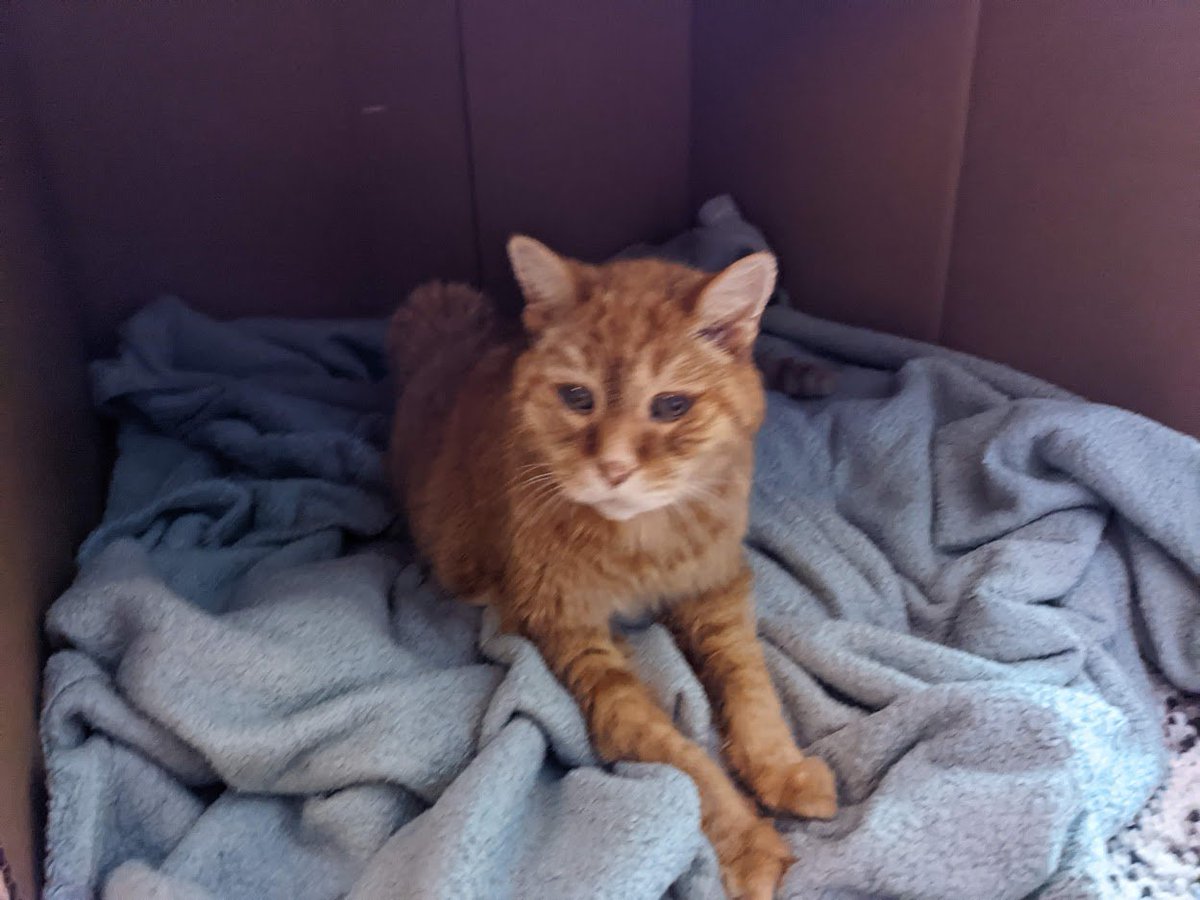 <a href="/anshulkundaje/">Anshul Kundaje (anshulkundaje@bluesky)</a> Thanks! I owe it all to my advisor.