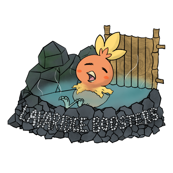 APAC VGC tweet media