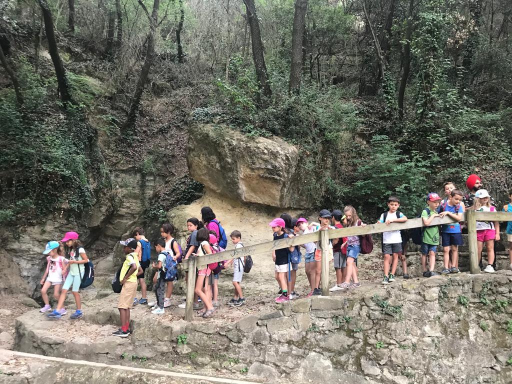 vedrunacent's tweet photo. Ens acomiadem de les parelles lectores amb una caminada fins a la Font Grossa i la Llavina amb un esmorzar compartit i jocs. #P5SSCC #2PRIMSSCC https://t.co/hefX9ygDr9
