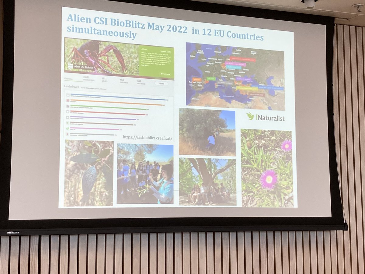 Helen Roy tweet media