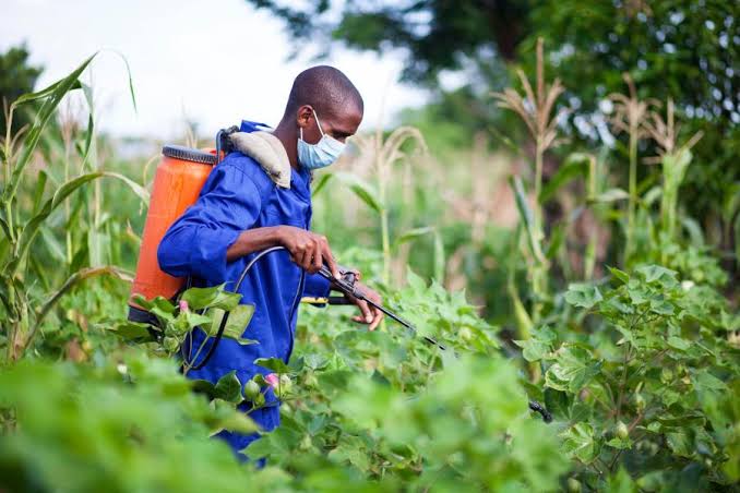 Consumer Grassroots On Twitter Healthy Foods Begin From Healthy Soils 