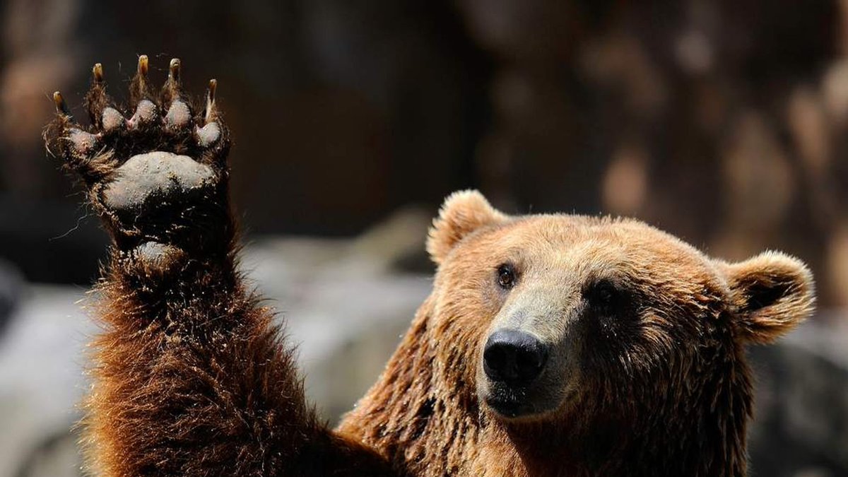 ¡Hey! ¡Vos! Si, vos, ese que está leyendo esto...
¡UNR te está buscando!
Buscamos sumar staff técnico para nuestra escuadra de LOL.
Anotate aca👇
staff.gounr.ar
#GoUNR