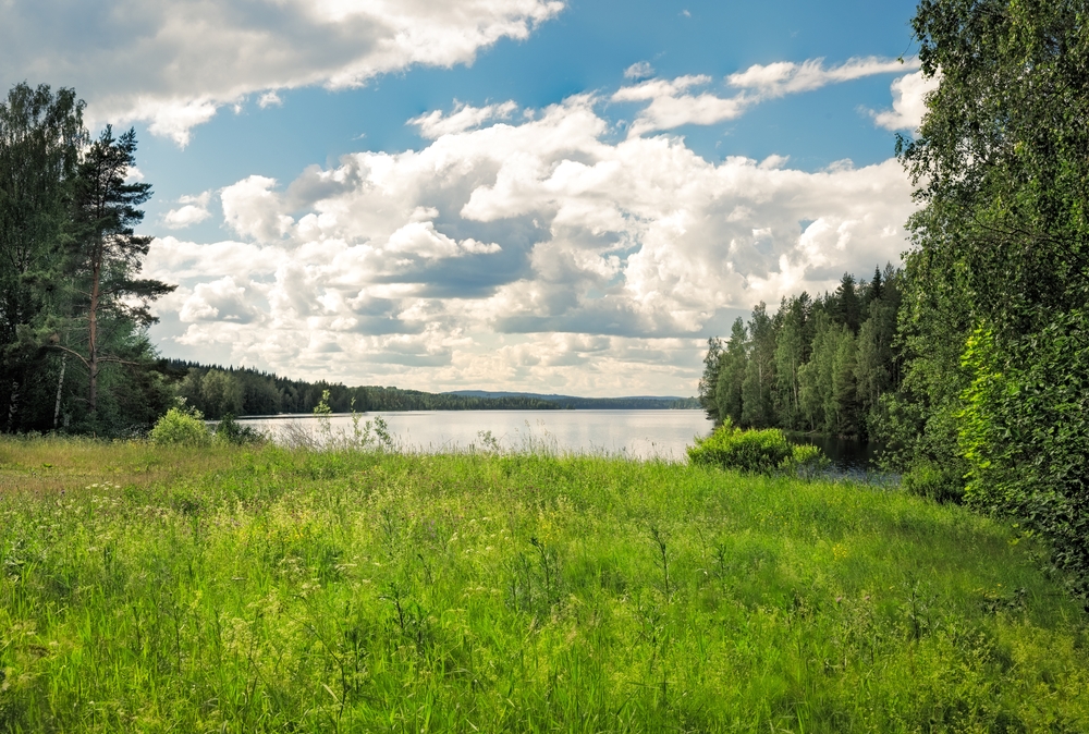 sinfsverige's tweet photo. En fin och glad Midsommar önskar vi alla från Sinf! https://t.co/5wsNCyjTcM