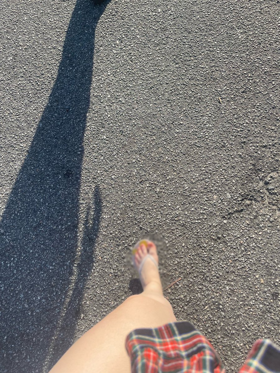 whisperingtoes's tweet photo. If you want to see these toes up close, DM me and ask about prices. #feet #feetworship #feetfethish #feetpicsforsales #thickthighs https://t.co/k6ocV6qQ4f