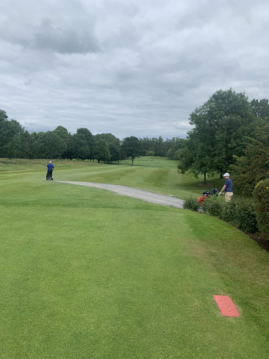 Greg Allen tweet media