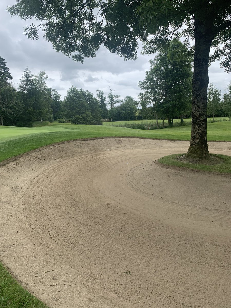 Greg Allen tweet media