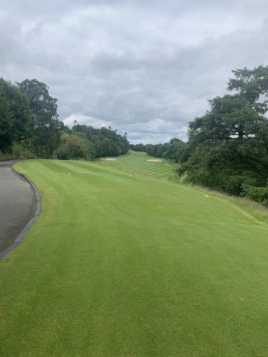 Greg Allen tweet media