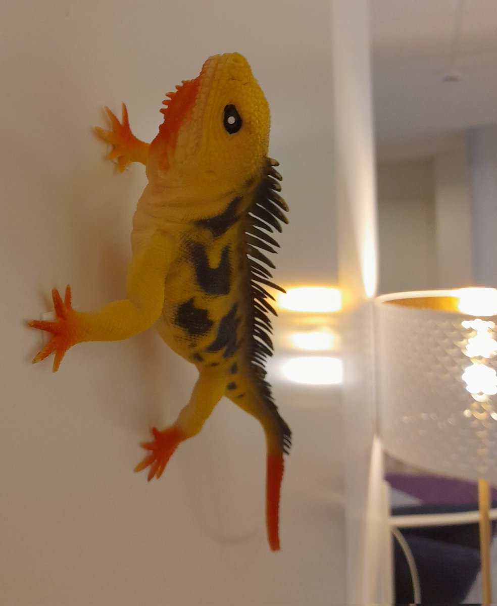 Tänään turvakodin aamuhetkellä kaikilla oli hymy herkässä. Ilo ja aplodit kuplivat. Yksi asiakaista on saanut uuden asunnon ja hän pääsee elämässä jälleen uuden askeleen eteenpäin. Myös työoveeni ilmestynyt lisko näyttää selvästi onnelliselta☀️ #turvakoti #yhteisöllisyys