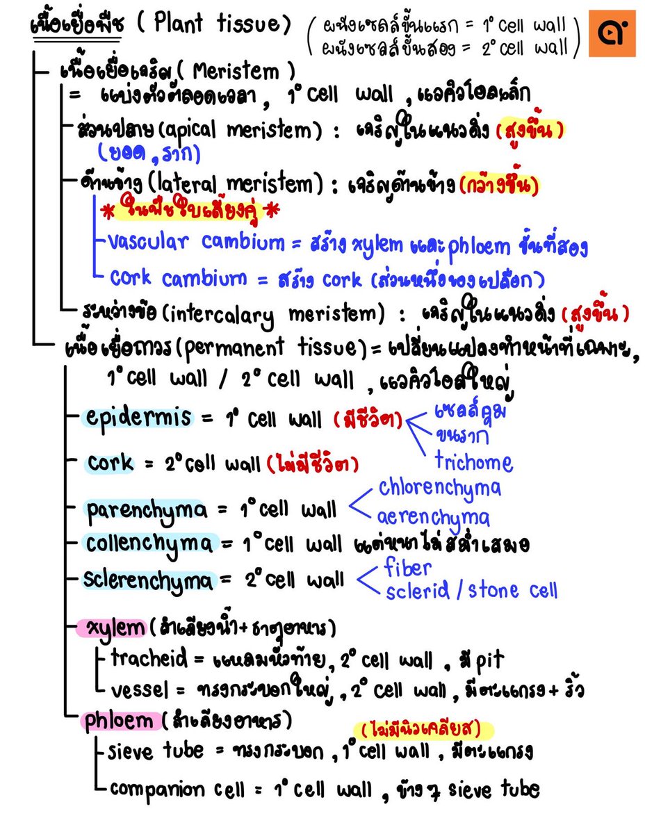 เชียร์เดียร์ tweet media
