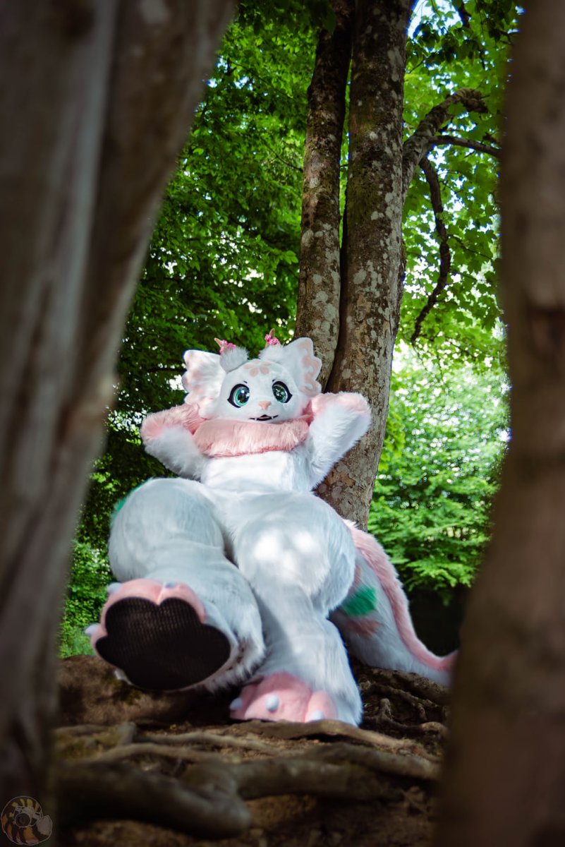 LeeTaiger's tweet photo. Here are some sample photos from the last @mephitminicon I shot.

Suiter: @Schneegepard
             @sige_public
             @GemoDragon
             @shadowfox_de https://t.co/lMXYhjS2Ky
