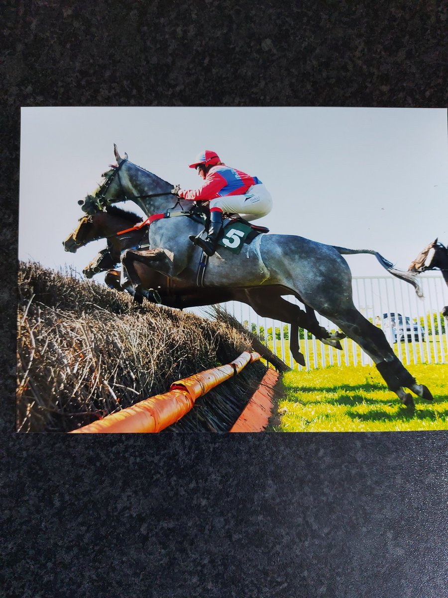 Heidi Lewis &amp; Full Spes took all season to iron out the problems, but a good 2nd at Upcott Cross p2p to finish the season. Look forward to next season but back to hunting first ❤️💙 great pics thanks Tim Holt  👍
