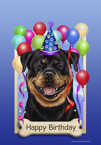 DonRottweiler's tweet photo. @lIllIlllIIIll @FlareNetworks https://t.co/gY7csg4fxz