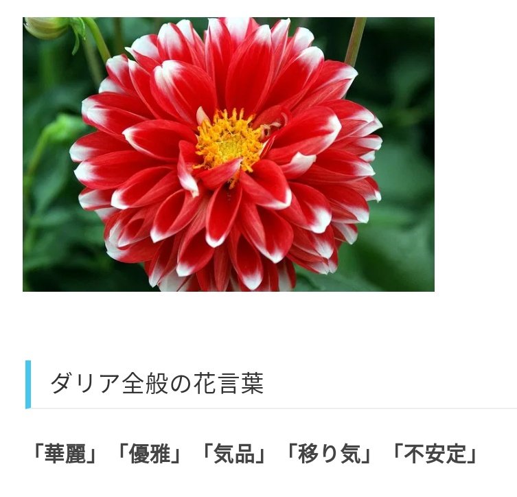 تويتر 空藍 Sora على تويتر アーリスさんのまわりに描いてある花の説明 右上が2月日 アーリスさんの誕生花のオウバイ 花言葉は 控えめな美 期待 恩恵 右下が2月24日 アーリスさんの推しのアズールくんの誕生花のツルニチニチソウ 花言葉は تويتر 空藍 Sora على تويتر アーリスさんのまわりに描いてある花の説明 右上が2月日 アーリスさんの誕生花のオウバイ 花言葉は 控えめな美 期待 恩恵 右下が2月24日 アーリスさんの推しのアズールくんの誕生花のツルニチニチソウ 花言葉は