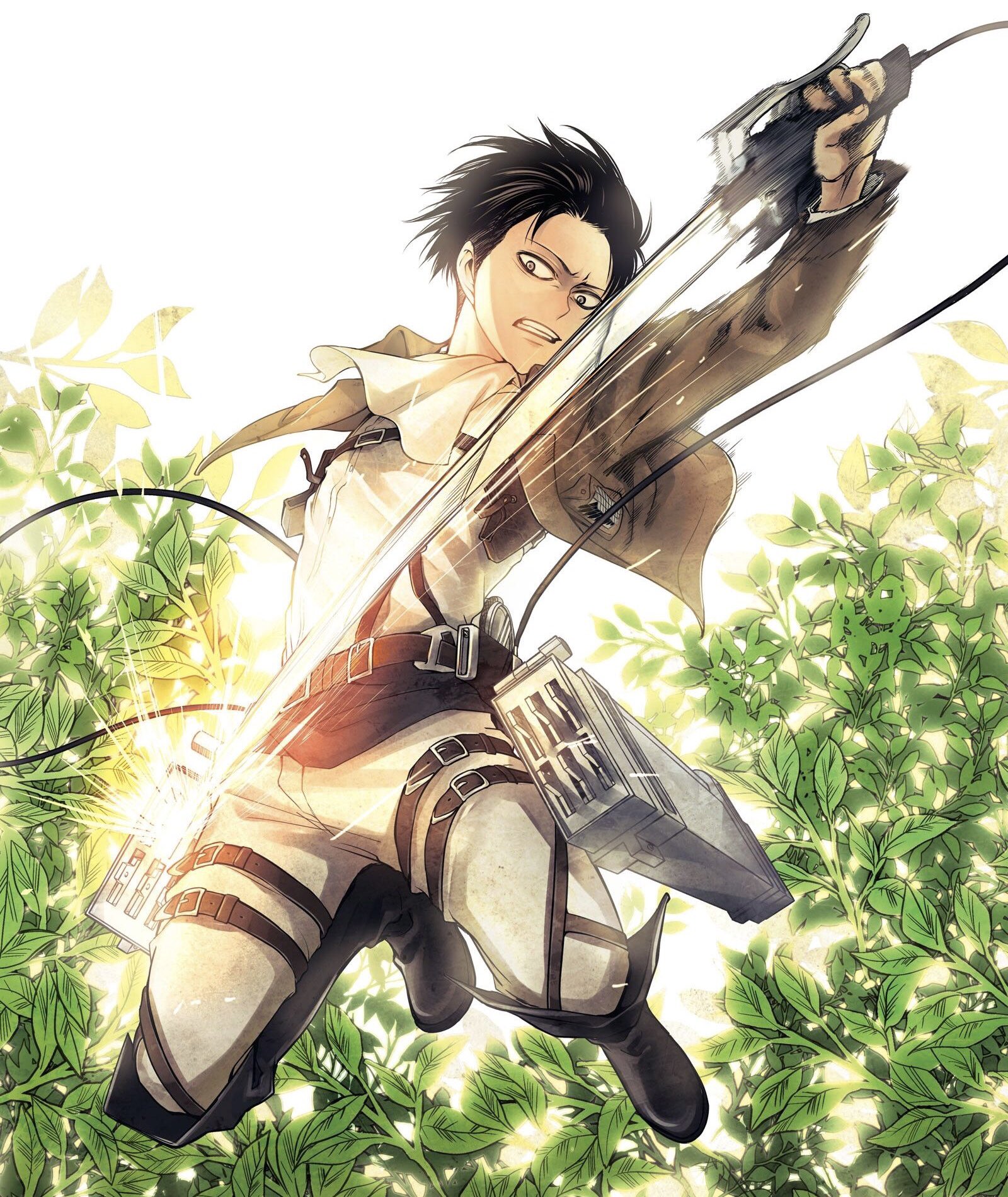 Attack on Titan Wiki on Twitter  Attack on titan levi, Attack on titan,  Levi ackerman