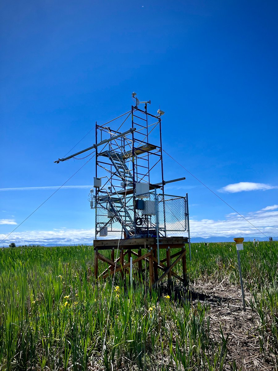 Enjoy a short day trip to two charming tidal wetlands! The canopy in the salt marsh gets so dense like hairs. The brackish marsh is embellished with lots of yellow flowers.