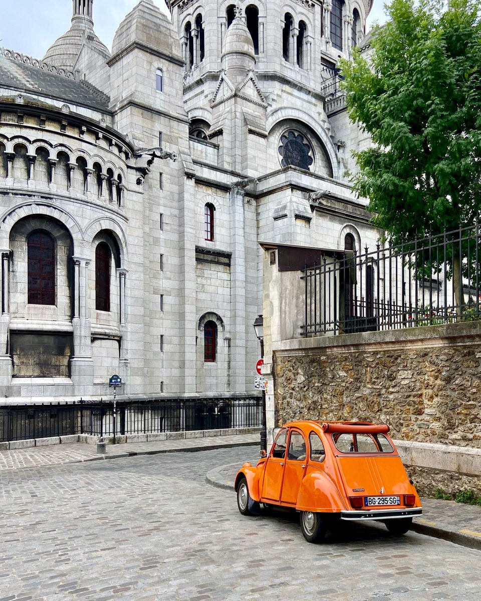 Aurora Fantin tweet media