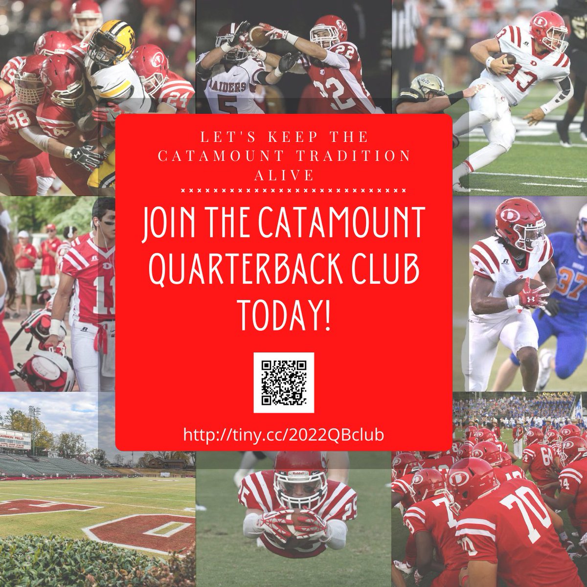 Dalton Catamounts tweet media