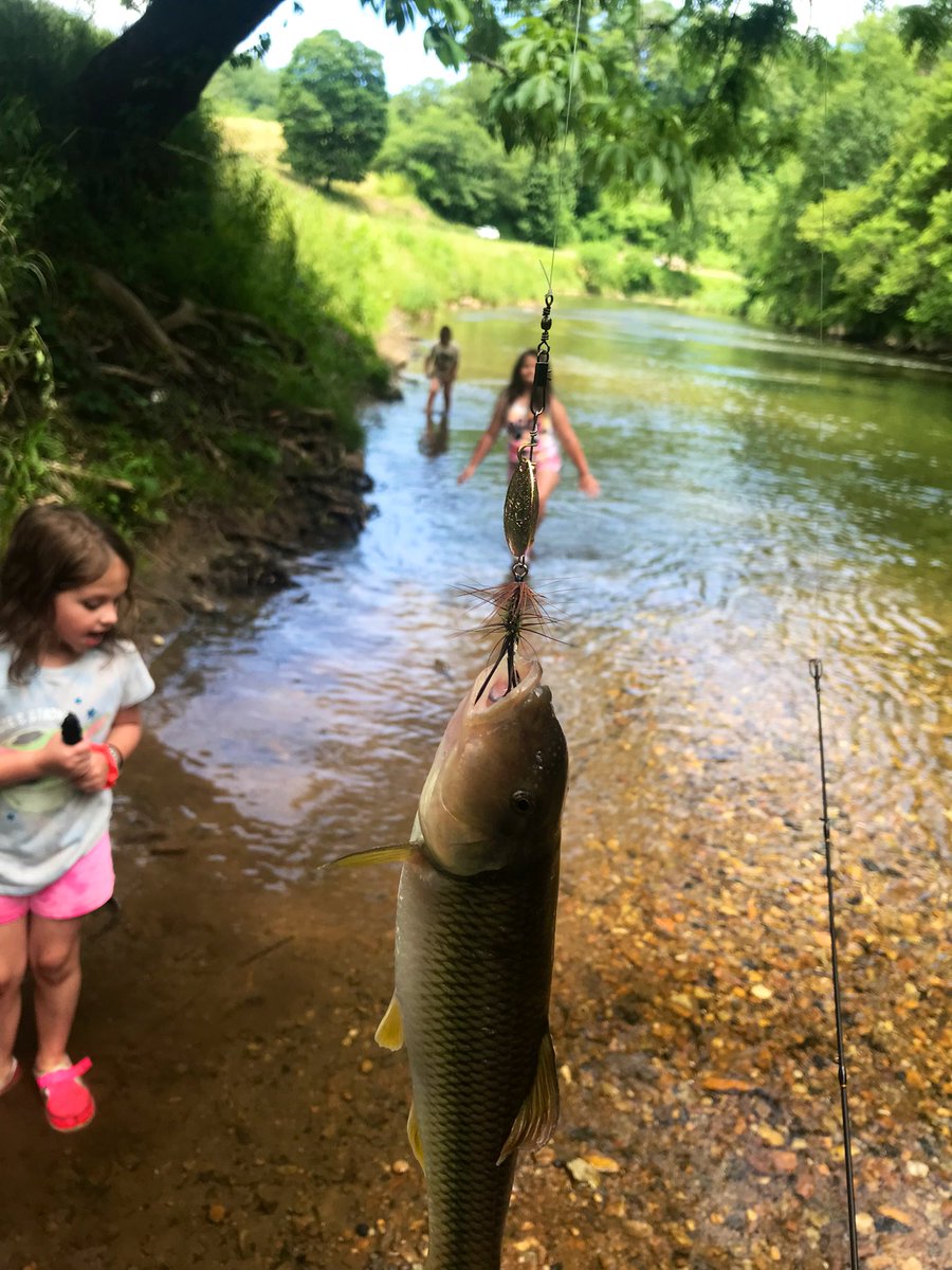 TealSeptember's tweet photo. Son and GrandKids #FishingTrip . #Outdoors #Nature #Wildlife #FishingIsLife #Fishing #Fish #Trout #TroutFishing #SummerFunTime #Summer2022 https://t.co/PXJAtJN4jB