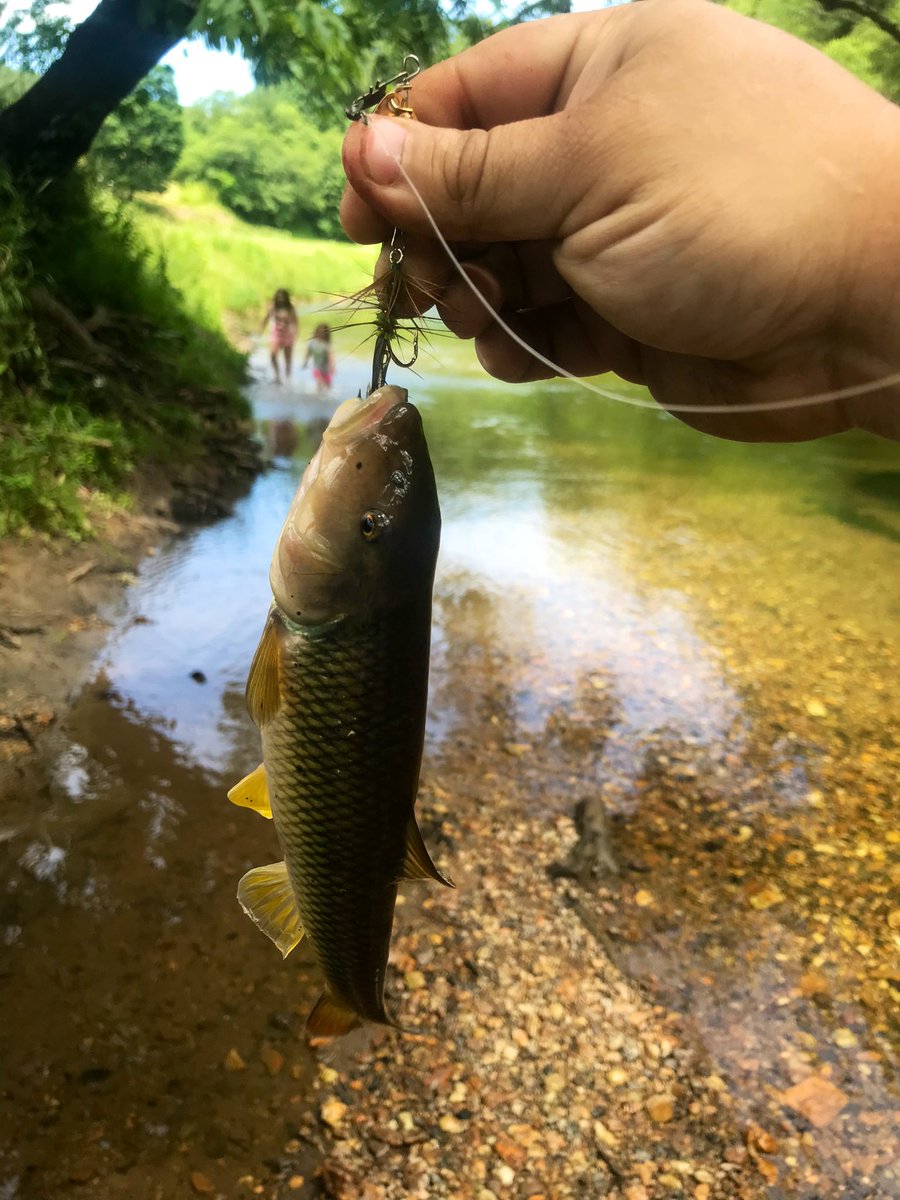 TealSeptember's tweet photo. Son and GrandKids #FishingTrip . #Outdoors #Nature #Wildlife #FishingIsLife #Fishing #Fish #Trout #TroutFishing #SummerFunTime #Summer2022 https://t.co/PXJAtJN4jB