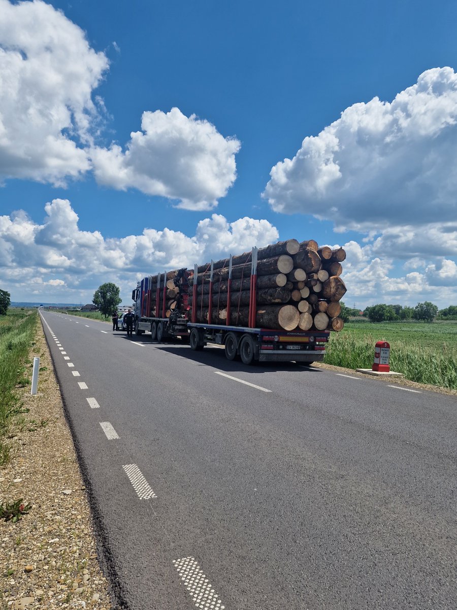 VladDanGheorghe's tweet photo. Important vote today in @Europarl_EN on #IllegalLogging. We are living the warmest June ever - #ClimateChange is here. 🇪🇺 needs a #GreenProsecutor to help fight #EnviCrime and protect future generations. https://t.co/6J9NqtxhTe